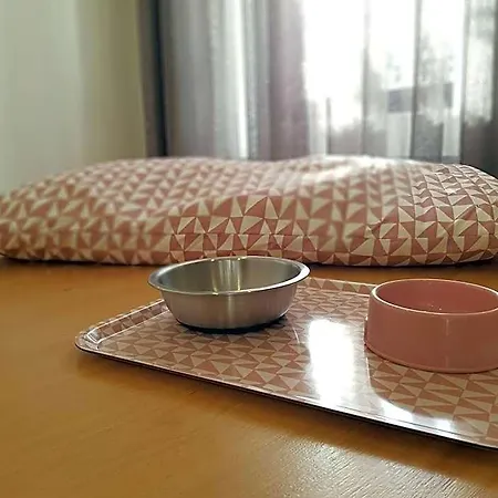博阿维斯塔宾馆