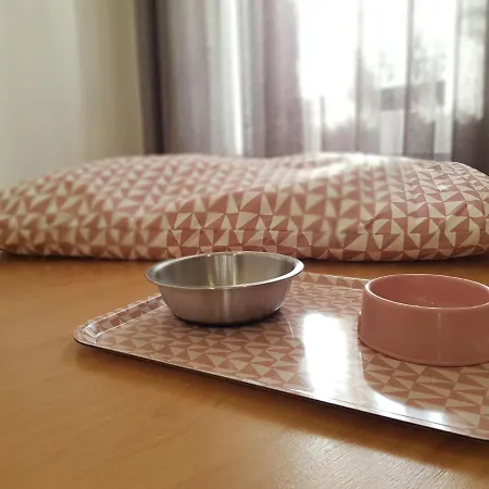 Boavista Pensjonat 4*